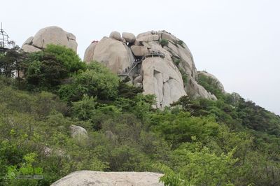 山东峄山老鹰嘴~通天沟~五华峰~丹丸峰环线IMG_5573