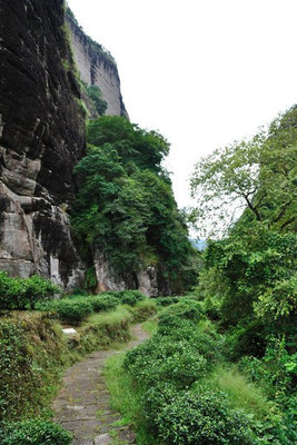 游武夷 虎啸岩 隐屏峰 玉华峰 天游峰 大红袍