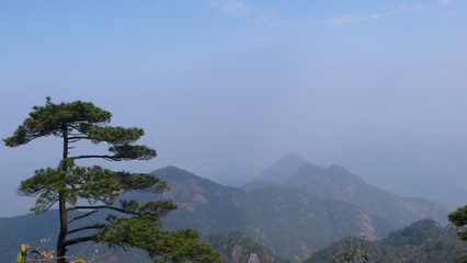 三清山三洞口攻略,三清山三洞口门票/游玩攻略/地址/图片/门票价格【携程攻略】