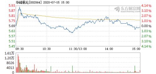 华峰氨纶7月15日快速上涨 分析其市场表现与前景