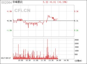 华峰氨纶（002064） 中国氨纶行业的领军企业